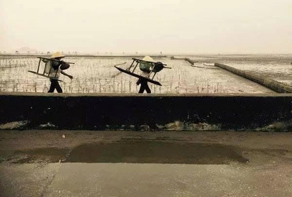 Văn học là nhân học